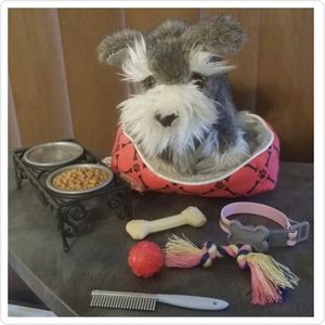 our generation schnauzer